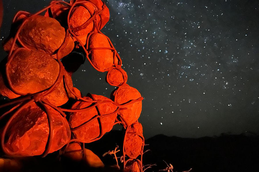 Night Sky in Namibia